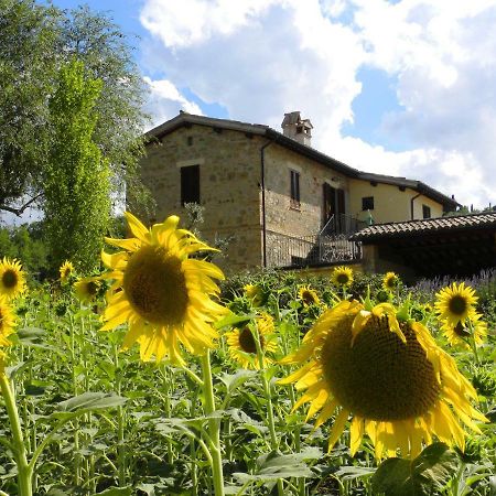 Appartamenti Verde Collina Umbra Bevagna ภายนอก รูปภาพ