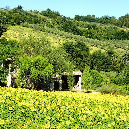 Appartamenti Verde Collina Umbra Bevagna ภายนอก รูปภาพ
