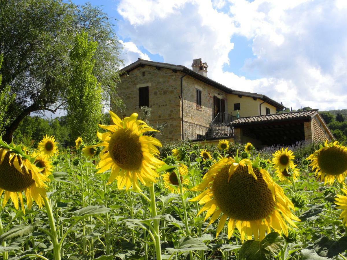 Appartamenti Verde Collina Umbra Bevagna ภายนอก รูปภาพ