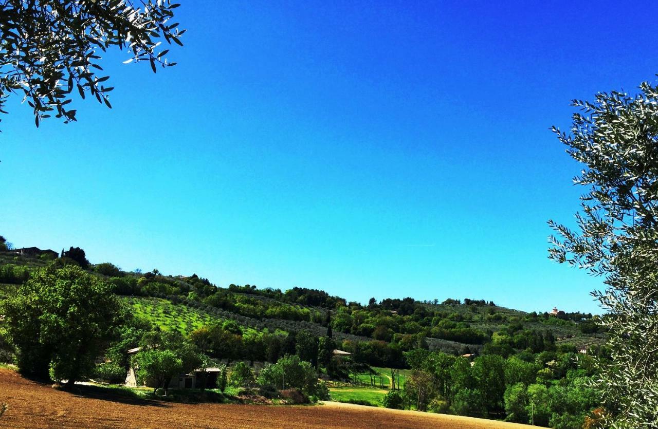 Appartamenti Verde Collina Umbra Bevagna ภายนอก รูปภาพ