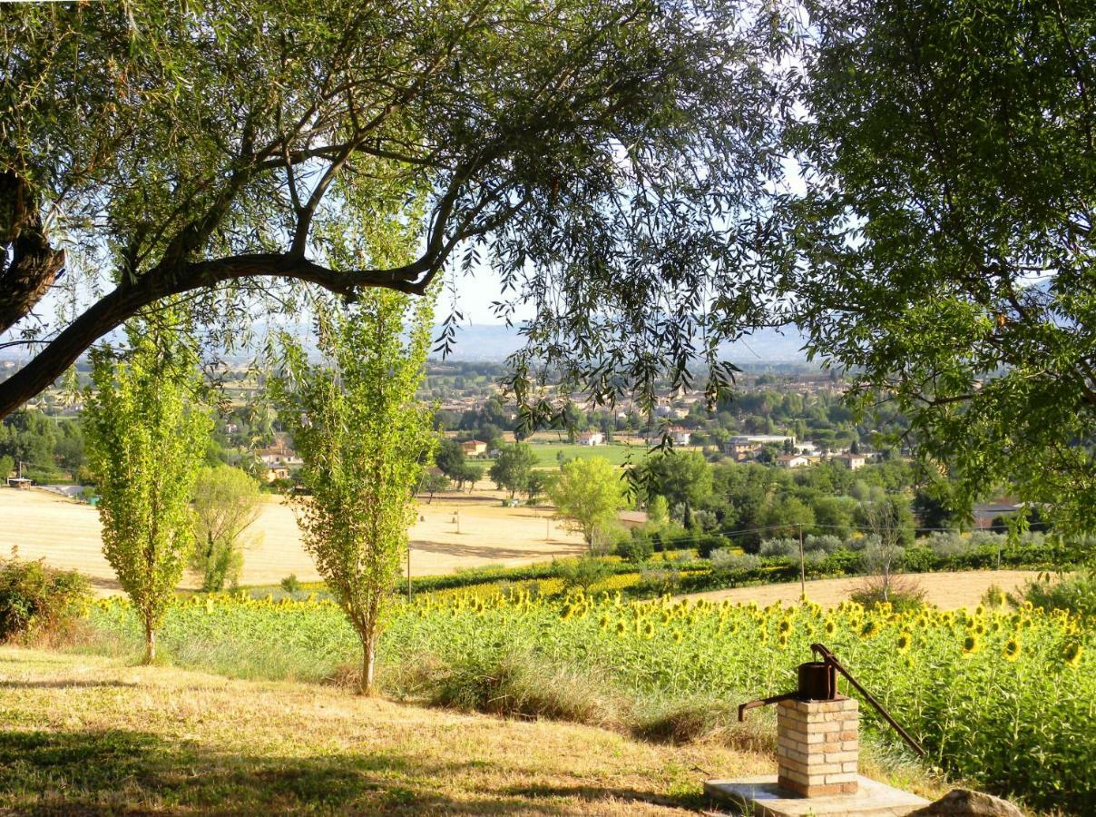Appartamenti Verde Collina Umbra Bevagna ภายนอก รูปภาพ