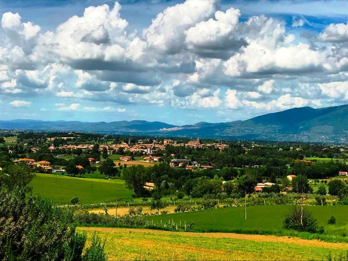Appartamenti Verde Collina Umbra Bevagna ภายนอก รูปภาพ