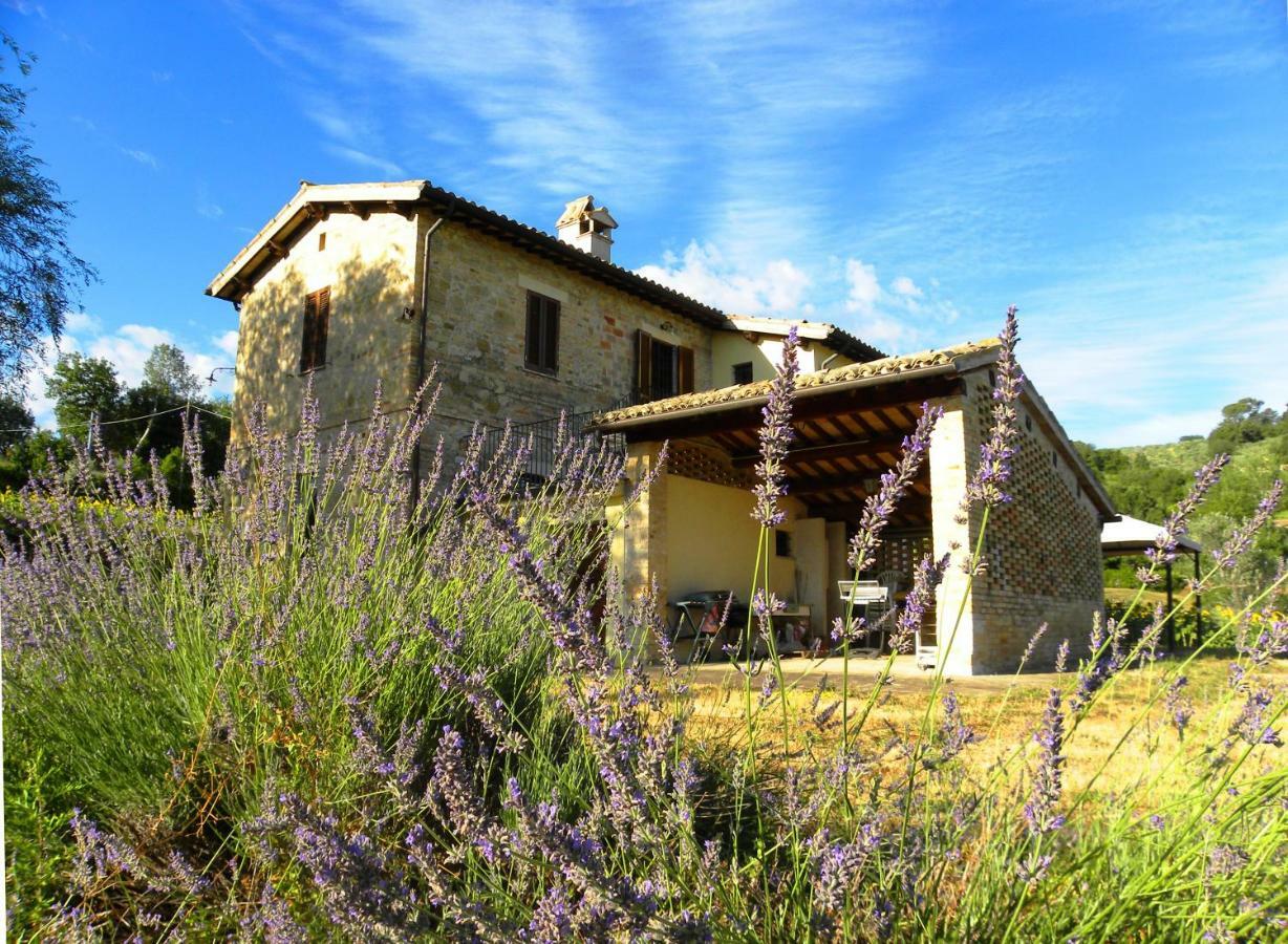 Appartamenti Verde Collina Umbra Bevagna ภายนอก รูปภาพ