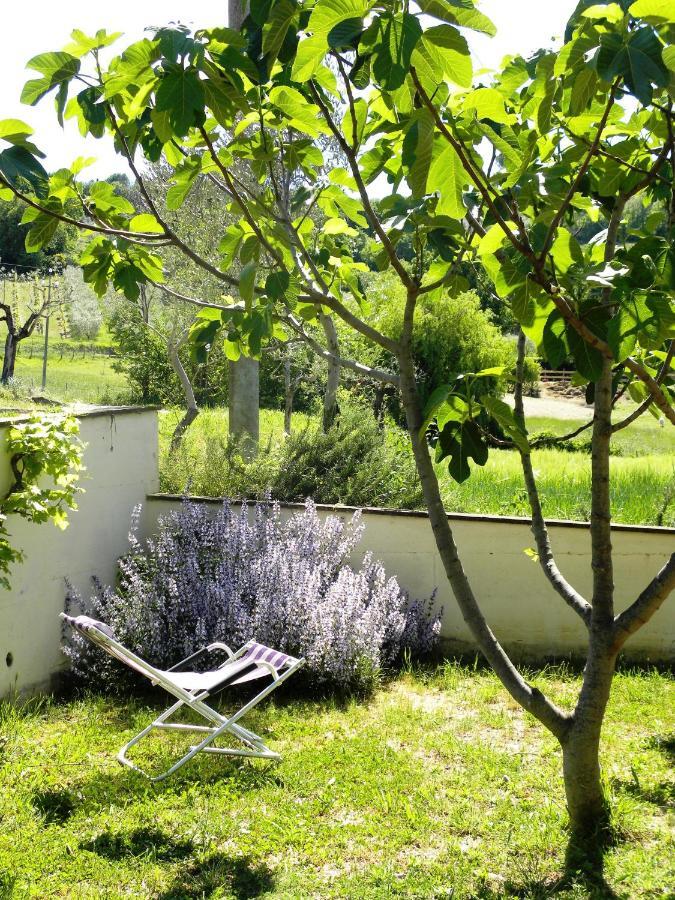 Appartamenti Verde Collina Umbra Bevagna ภายนอก รูปภาพ