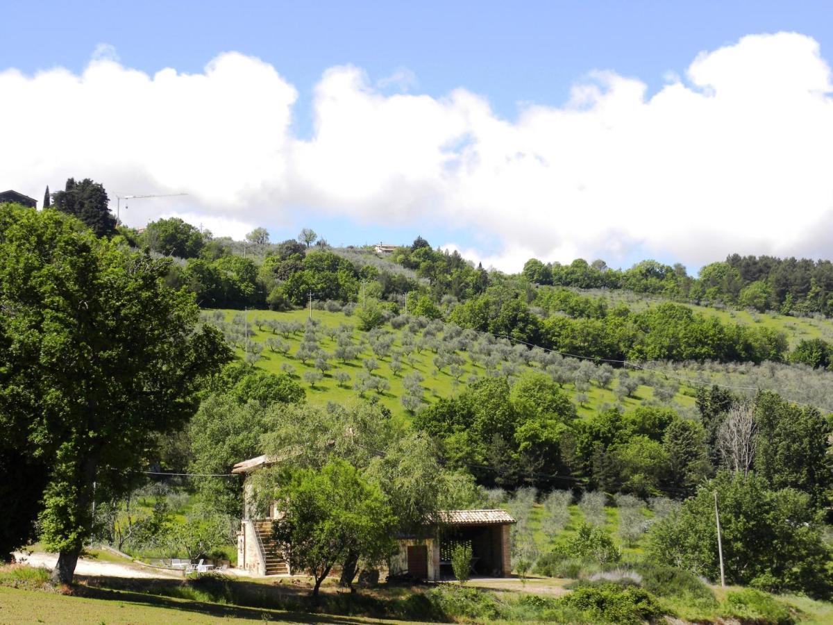 Appartamenti Verde Collina Umbra Bevagna ภายนอก รูปภาพ